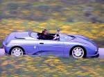 De Tomaso Guara Barchetta 1994 года